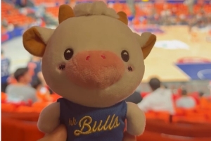 香港金牛當家球星“La Bull Bull”來感受CBA總決賽強度和氛圍啦