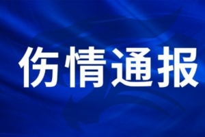 王毅右膝外側(cè)副韌帶損傷，陳哲超腓骨肌腱、外踝韌帶損傷
