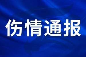 三鎮(zhèn)球員劉奕鳴在日常對(duì)抗訓(xùn)練中手掌骨折，手術(shù)已順利完成