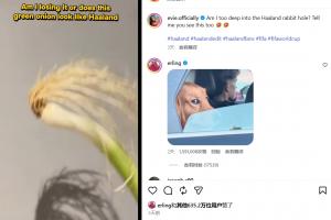 爆火！網(wǎng)友用“一根蔥”cos哈蘭德，哈蘭德本人回復，超600萬點贊