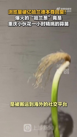 cos哈蘭德的是蒜苗不是蔥！重慶小伙才是原作者 視頻被偷瀏覽破億