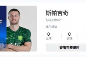 已完成補報？中足聯官網顯示，斯帕吉奇出現在國安陣中