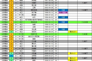 國安2026中超夏轉(zhuǎn)后報名名單:撤下恩科洛洛 補報斯帕吉奇劉邵子洋