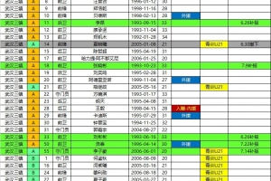 三鎮、海牛、鐵人、銅梁龍2026中超聯賽報名名單（夏窗后）