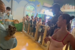 有愛瞬間！杰倫·格林來到動物園 與小老虎手拉手親密互動