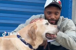 紐約市的王子！大橋牽自己的寵物犬逛街 小狗桑尼表情愉悅
