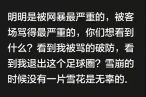 韋世豪：你們想看什么？看到我破防？雪崩時沒有一片雪花是無辜的