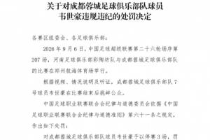 為何韋世豪禁賽3場+河南賽區被警告？中足聯紀律準則中均明文規定