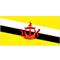文萊U19首發(fā)陣容