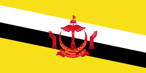 文萊U20首發陣容