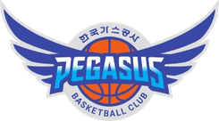 大邱石油公社飛馬首發(fā)陣容